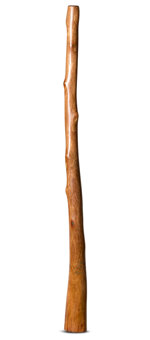 CrookedStixz Didgeridoo (AH377)